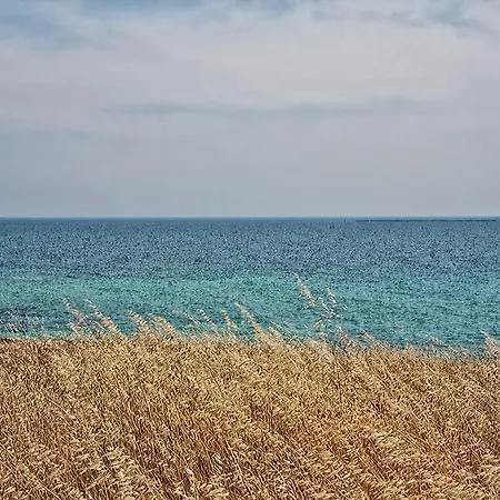 Dimora Tra Gli Ulivi Villa