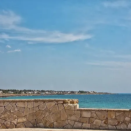 Dimora Tra Gli Ulivi Willa Torre Suda