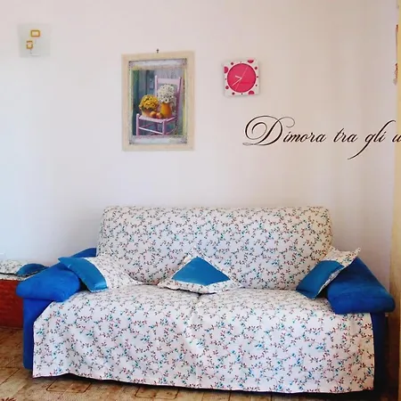Dimora Tra Gli Ulivi Villa